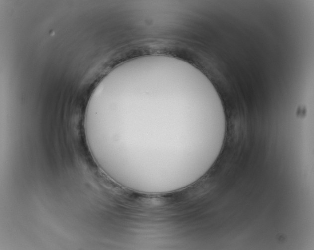 X0000113210698200909100947