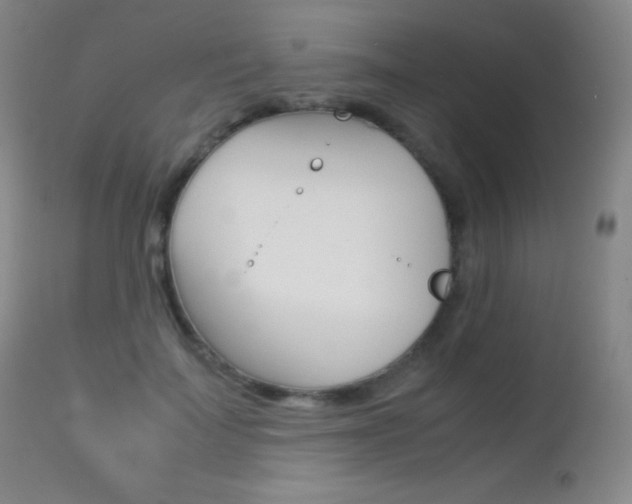 X0000113210699200909100947