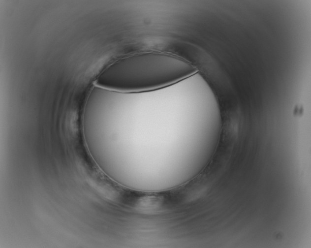 X0000113210700200909100947