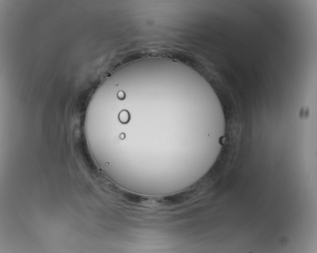 X0000113210703200909100947