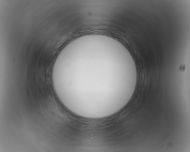 X0000113210704200909100947