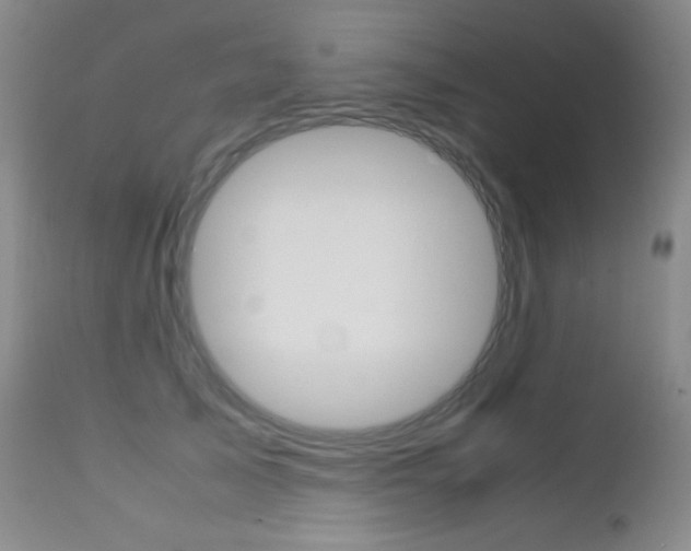 X0000113210705200909100947