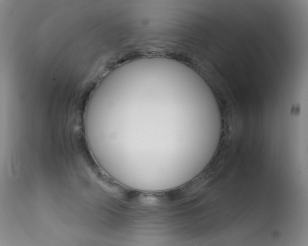 X0000113210706200909100947