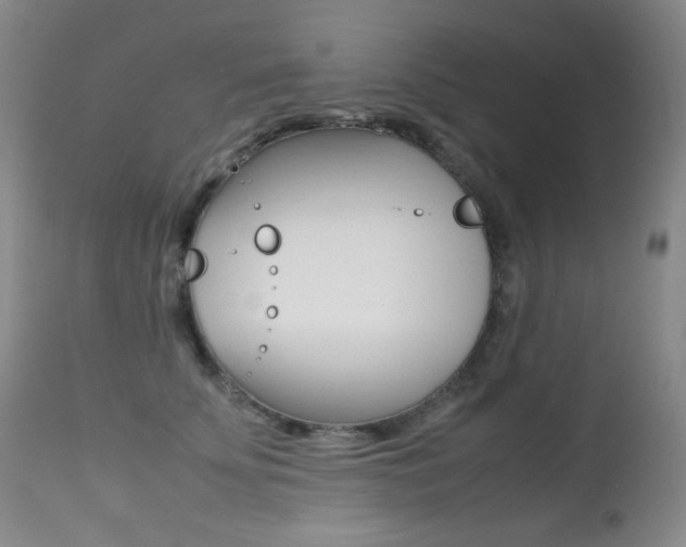 X0000113210707200909100947