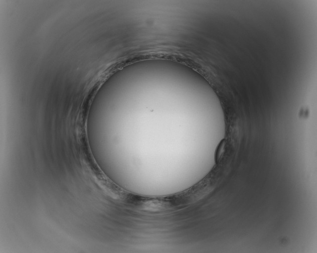 X0000113210708200909100947