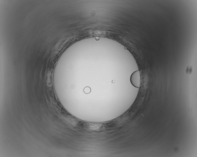 X0000113210709200909100947