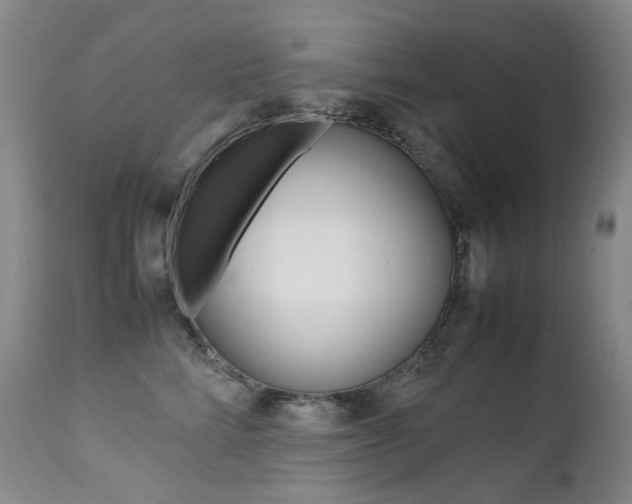 X0000113210712200909100947