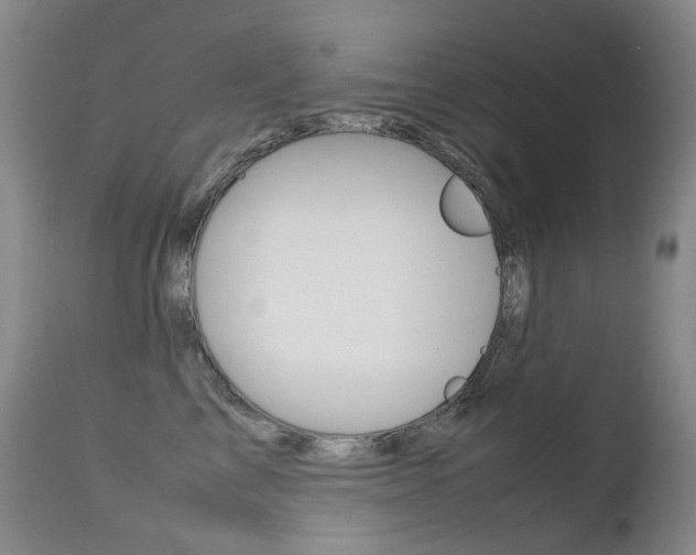 X0000113210713200909100947