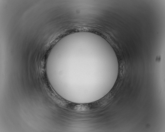 X0000113210714200909100947
