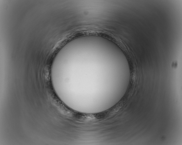 X0000113210715200909100947