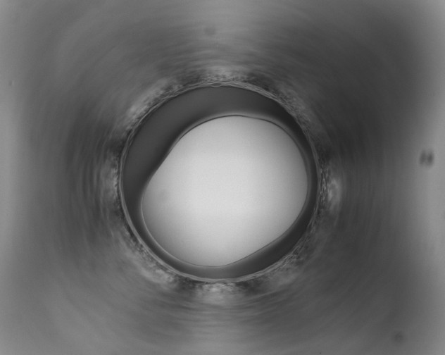 X0000113210716200909100947