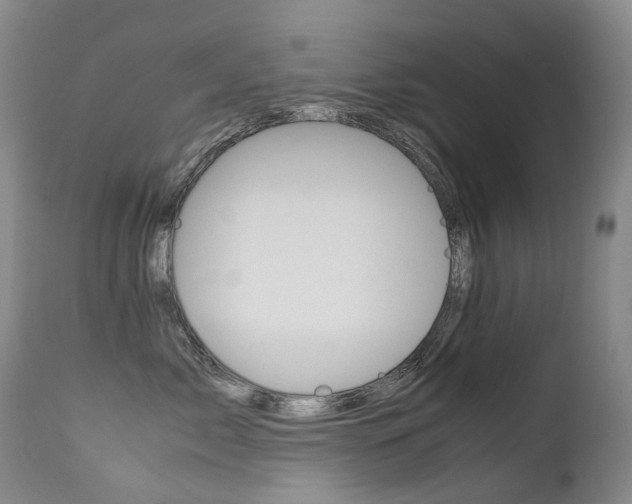 X0000113210717200909100947