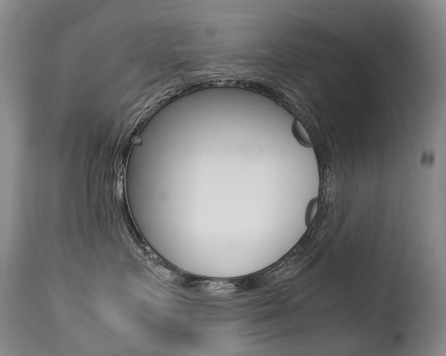 X0000113210719200909100947