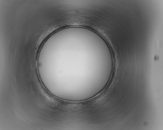 X0000113210721200909100946