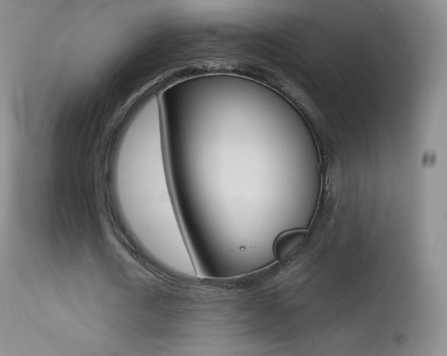 X0000113210722200909100946