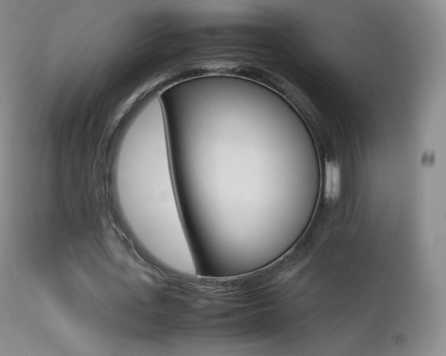 X0000113210723200909100946
