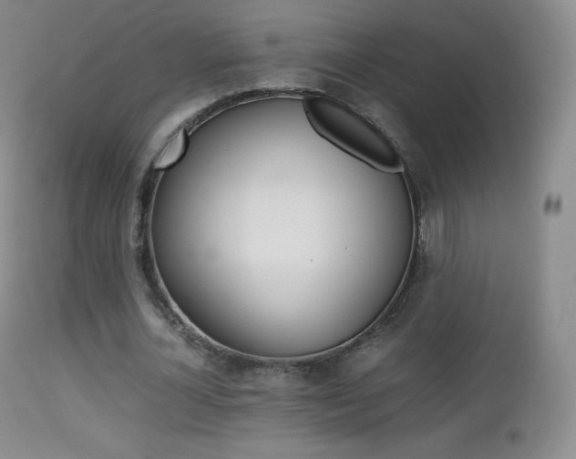 X0000113210724200909100946
