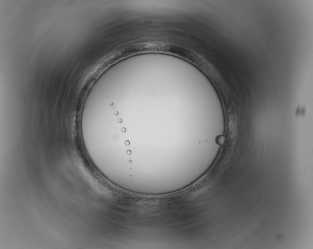 X0000113210725200909100946