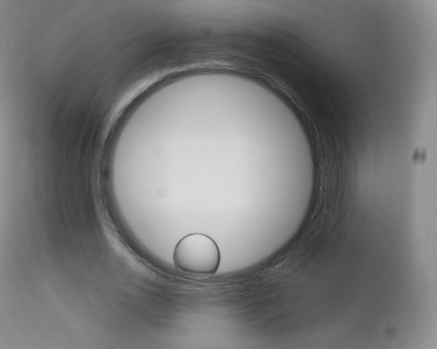 X0000113210726200909100946