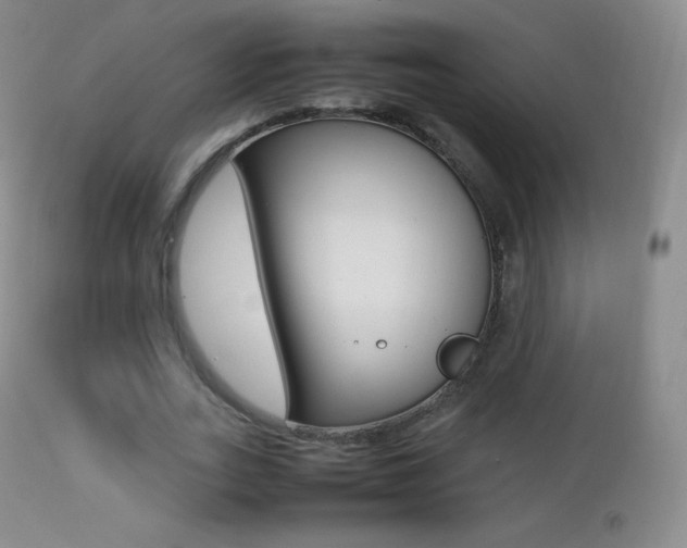 X0000113210727200909100946