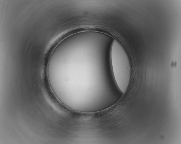 X0000113210728200909100946