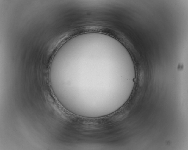 X0000113210729200909100946