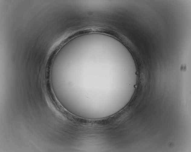 X0000113210730200909100946