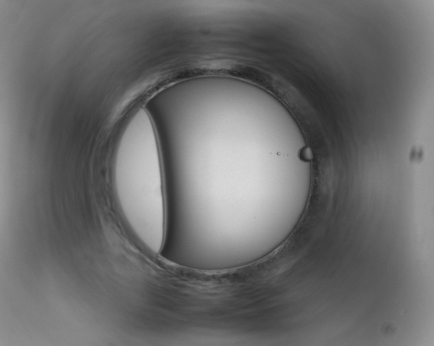 X0000113210731200909100946