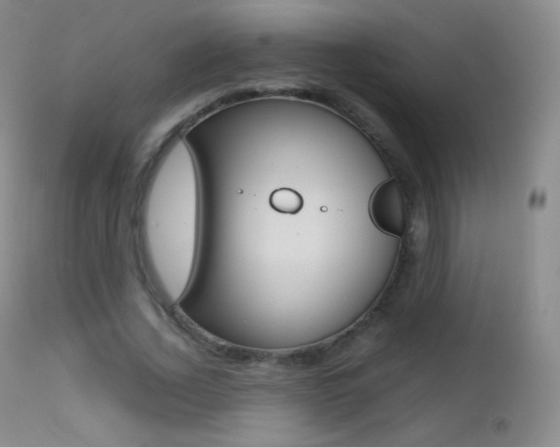 X0000113210732200909100946