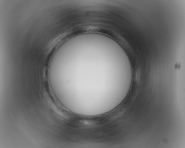 X0000113210733200909100946
