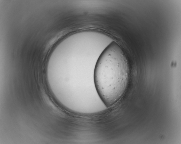 X0000113210734200909100946
