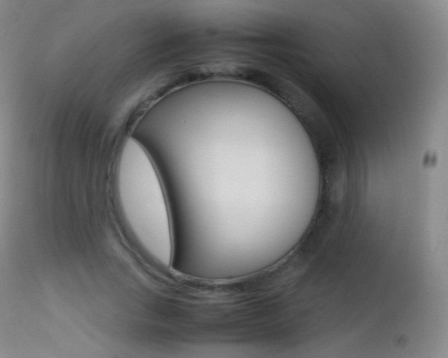 X0000113210735200909100946