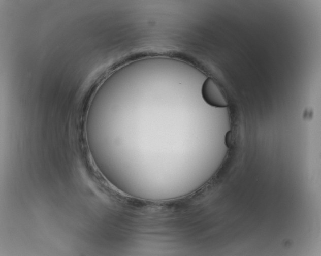 X0000113210736200909100946