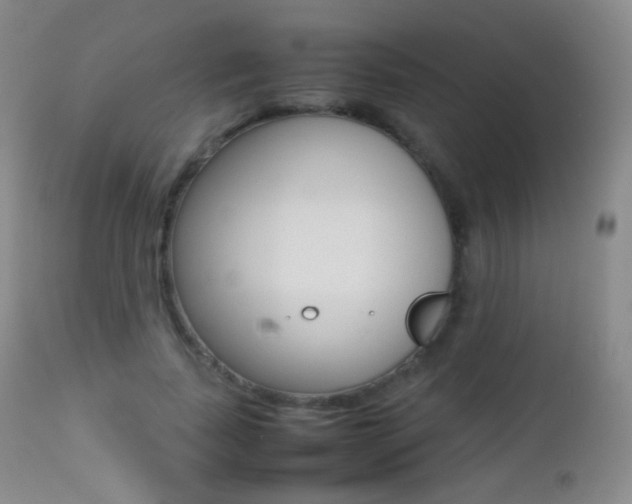 X0000113210739200909100946