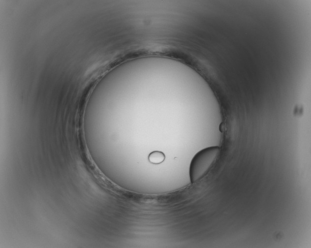 X0000113210740200909100946