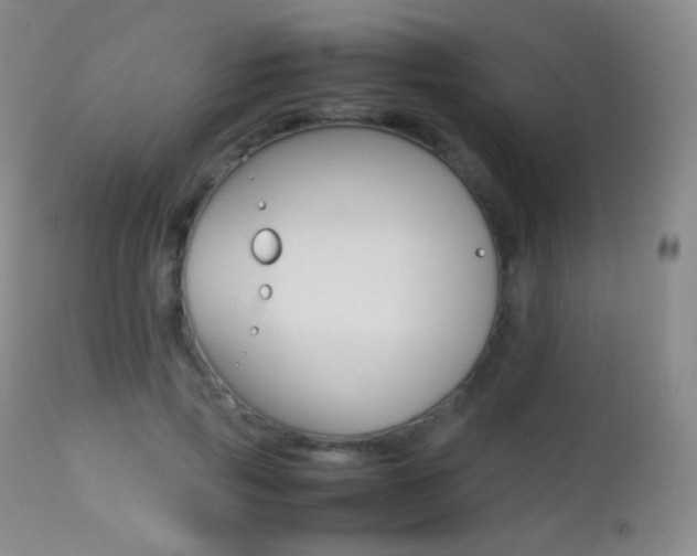 X0000113210741200909100946