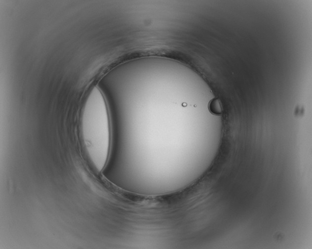X0000113210742200909100946