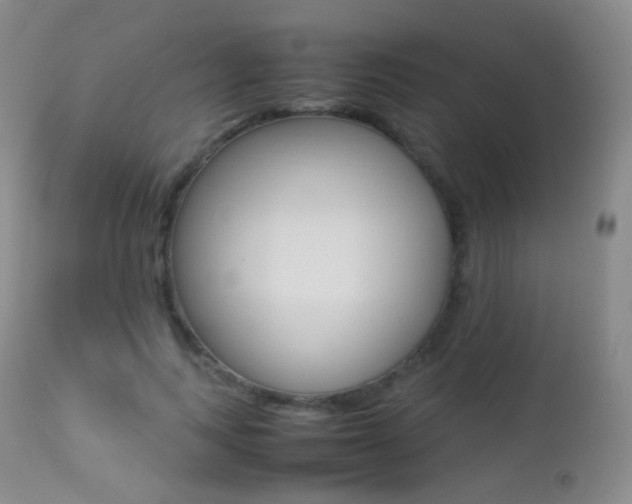 X0000113210743200909100946