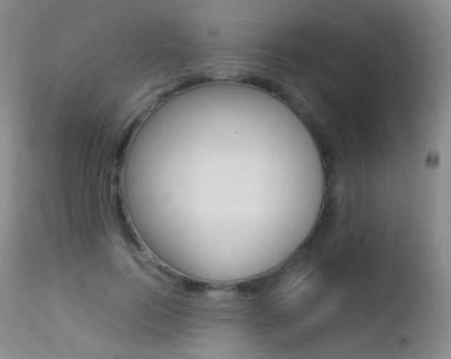 X0000113210744200909100946