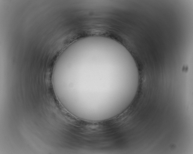 X0000113210745200909100946