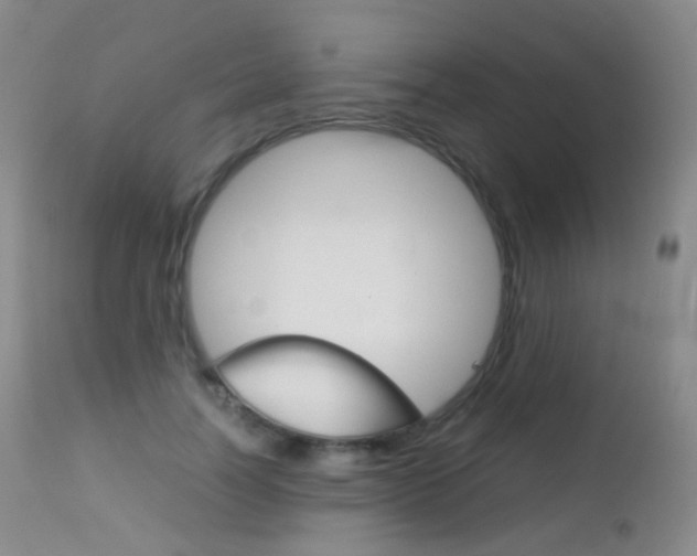X0000113210746200909100946
