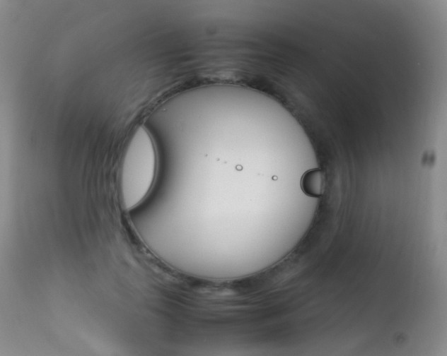 X0000113210747200909100946