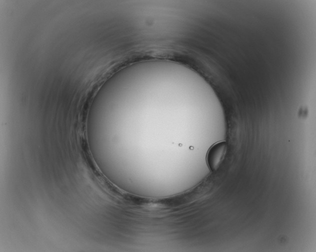 X0000113210748200909100946