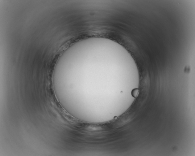 X0000113210749200909100946