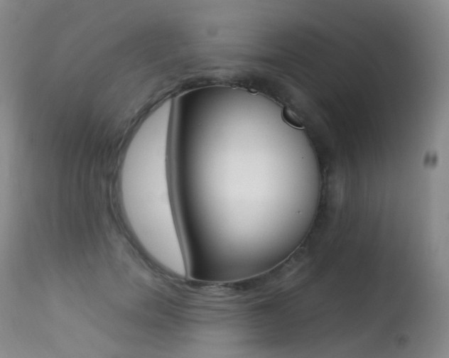 X0000113210750200909100946