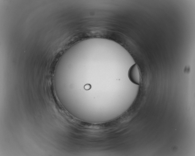 X0000113210751200909100946