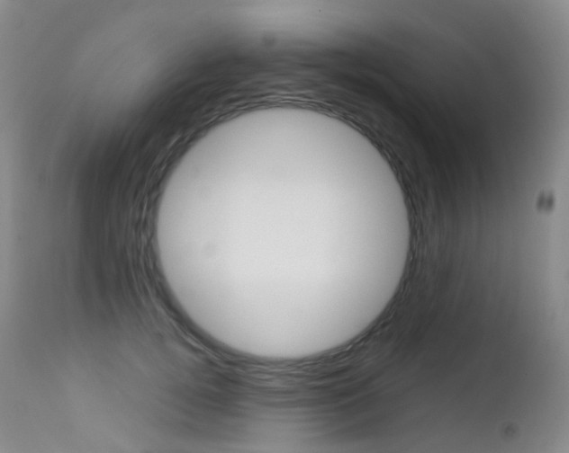 X0000113210752200909100946