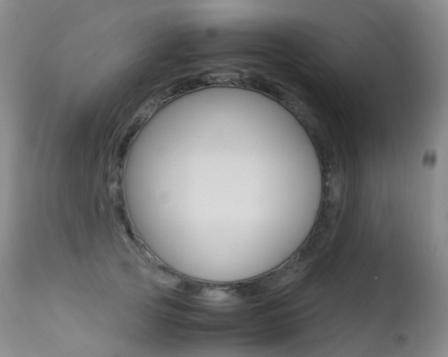 X0000113210753200909100946