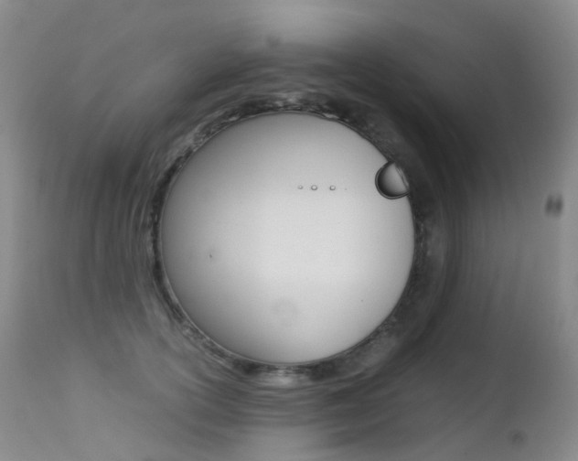 X0000113210754200909100946