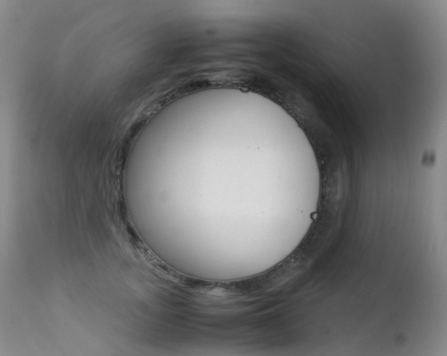 X0000113210755200909100946